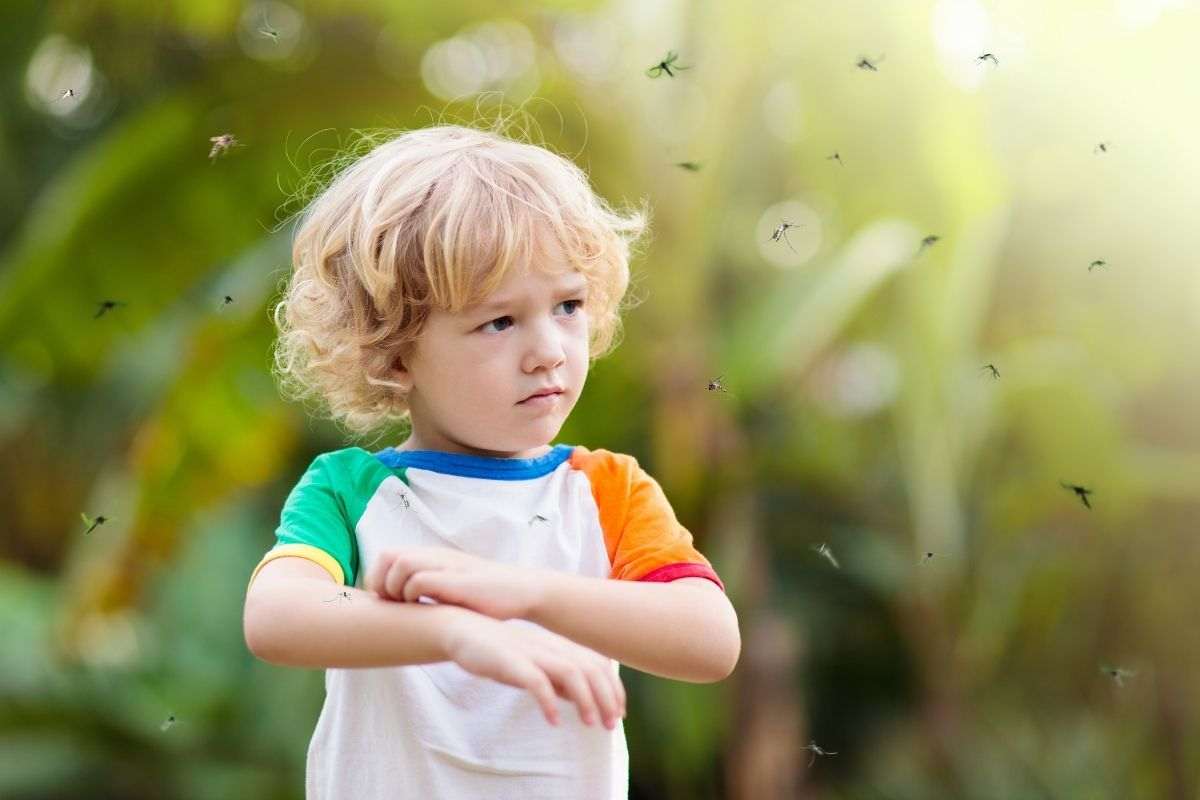 cosa fare se tuo figlio viene punto da un insetto