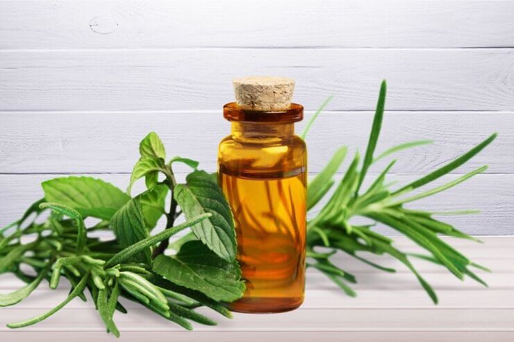 Olio essenziale tea
